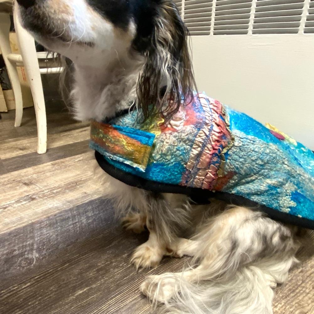 Nuno Felted wool & silk dog coat - Picture 5 of 6